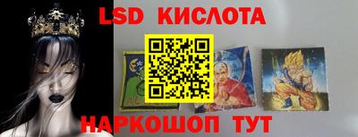 индика Рузаевка