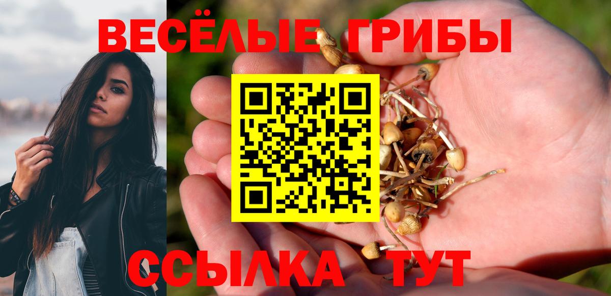 Павлово  Галлюциногенные грибы прущие грибы  продажа наркотиков  Вход с VPN 